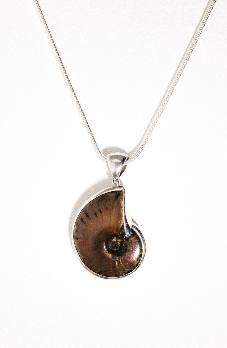 Starborn Creations Jewelry Silver / 16 inches Ocean Dweller Ammonite Necklace